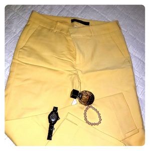 Zara pants